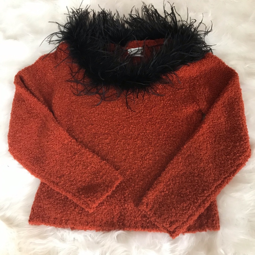 SISTERS Sweater with Feathery Trim Around Neckline